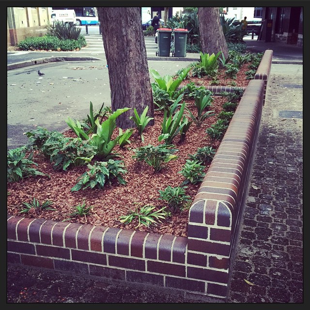 Today - mulch! I wish I could get the @cityofsydney to landscape my garden too. :)