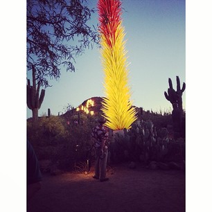 Amazing Chihuly glass artwork in the desert.