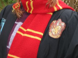 Close-up of Gryffindor badge