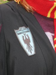 Close-up of Dumbledore's Army badge