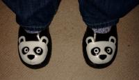 My panda shoes
