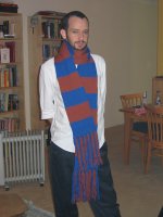 Ravenclaw Scarf