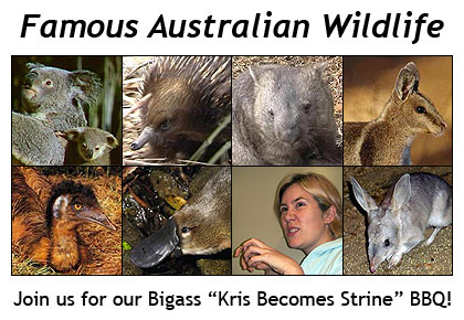 Famous Australian Wildlife