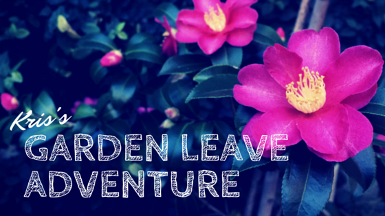 Kris's Garden Leave Adventure