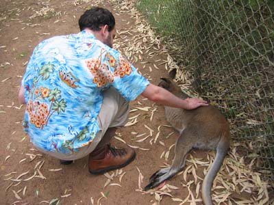 Snookums and a wallaby