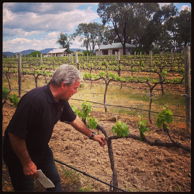 Robert giving us a tour of his vines at di Lusso estate. #mudgeesmuggler