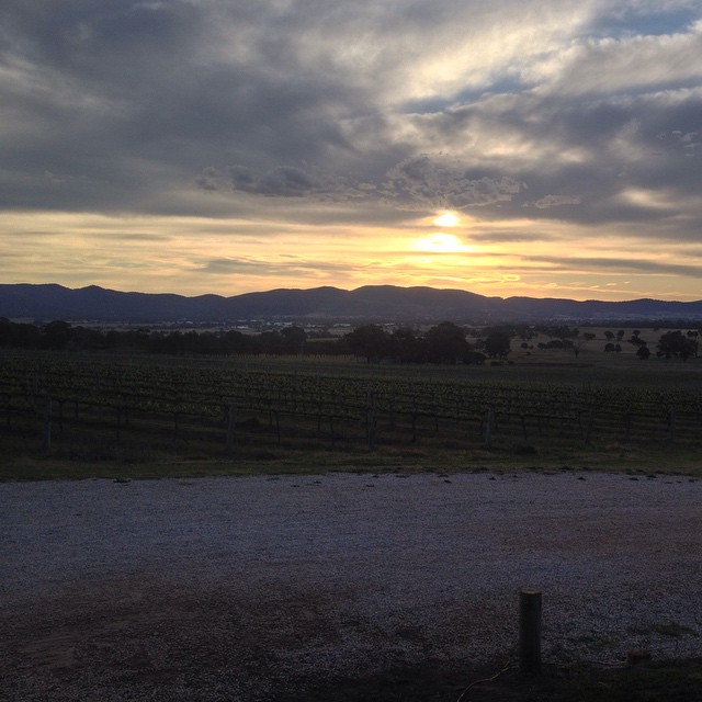 Sunset over the vineyard. #mudgeesmuggler