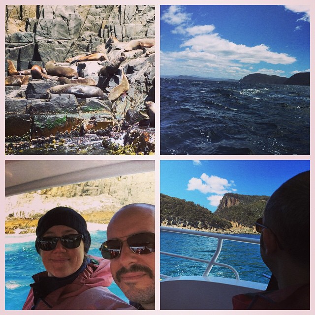 Fur seals, cliffs, albatross, sea caves, and dolphins. Amazing. @brunyislandlongweekend