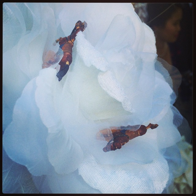 My fascinator has horsies. #melbournecup