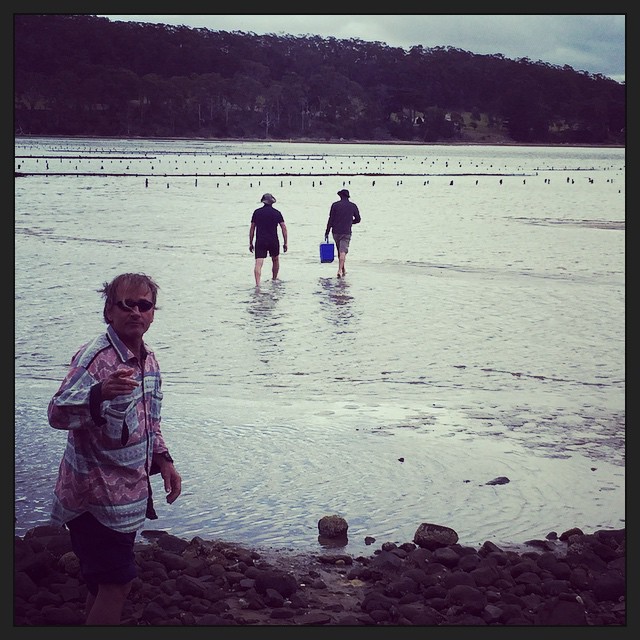 Oyster farm. Some to eat now; some to take back to camp. #brunyisland