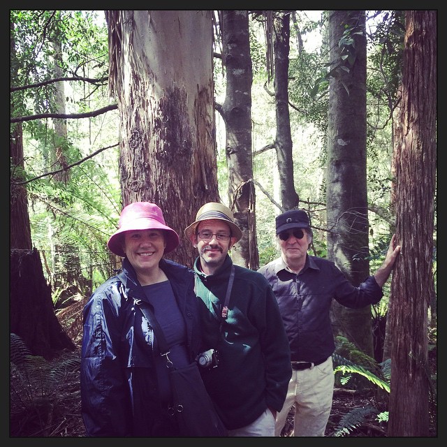 Rainforest walk with our excellent host Sean from Forest Walks Lodge in Jackeys Marsh.