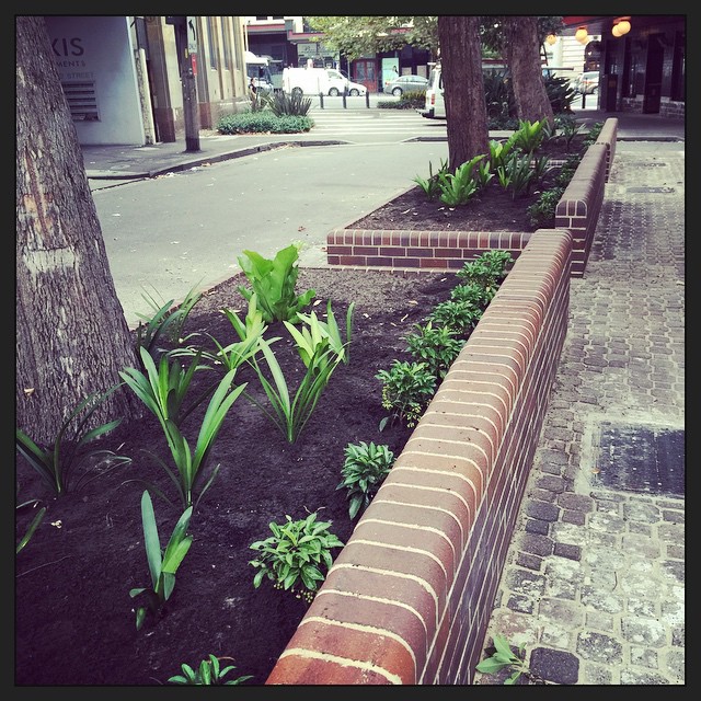Took my photo a day too early. Now there are plants! Thanks @cityofsydney...