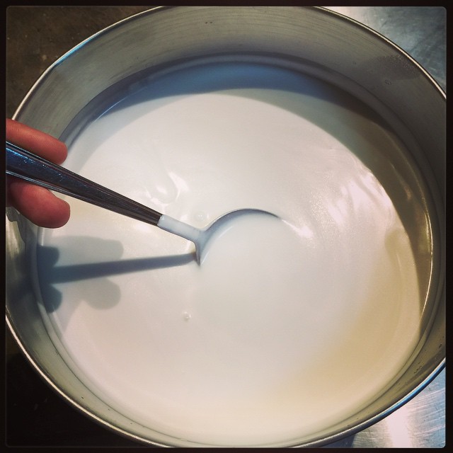 Made another batch of coconut milk yogurt last night. Turned out great!