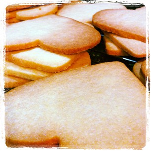 Sugar cookies are my damn Everest, I swear. These are okay, but a little too brown.