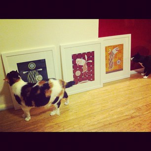 There are a lot of swanky art galleries in Chippo, but this is the only one FOR CATS. (cc @artbuds)