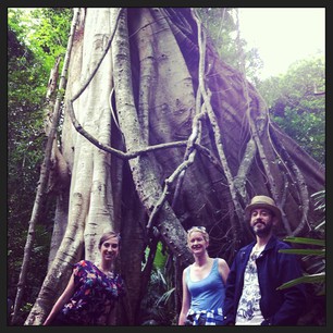 On the rainforest walk.