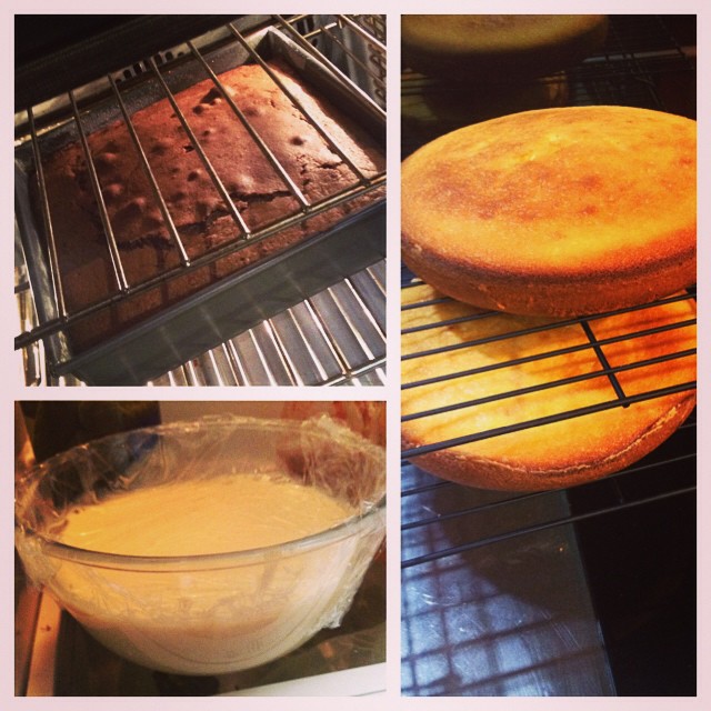 It's like the Great Aussie Bake-Off in my house tonight... #bigcakebake
