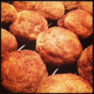 KitchenAid + Silpat = 21st century Snickerdoodles!