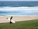 Bondi surfie