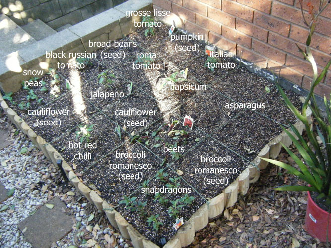 Big garden bed