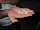 In Snookums's hand