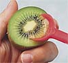Slooping a kiwifruit
