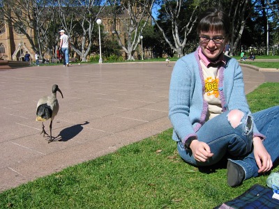 Miss Helen being menaced by an ibis