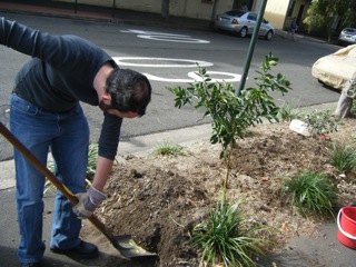 Snookums plants the tree