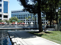 Lunch at The Water Garden