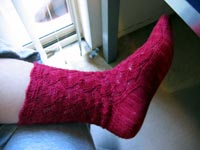 Waving Lace Socks