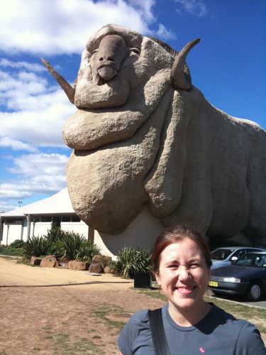 Me and the Big Merino