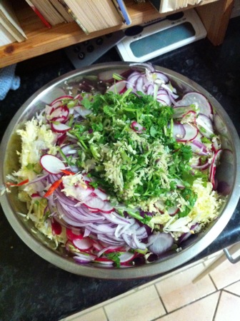 Kimchee slaw