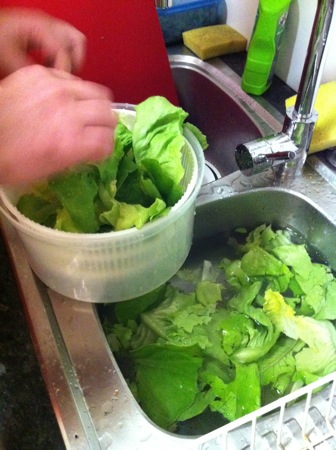 Washing salad