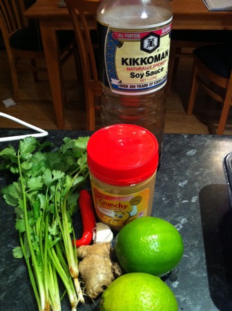 Ingredients for satay sauce