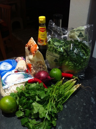 Noodles and garnish ingredients