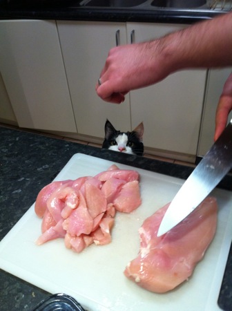 Cutting the chicken