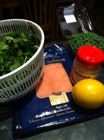 Salmon components