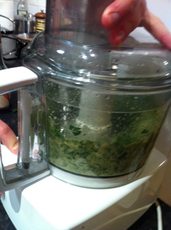 Whizzing the salsa verde