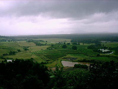 View from Mount Yarrahapinni