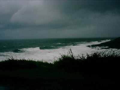 Beach at Scott's Head