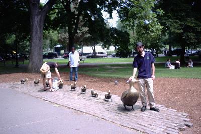 Make way for ducklings!