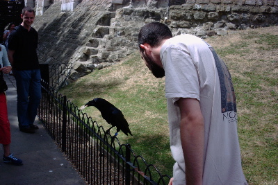 Snook and a raven