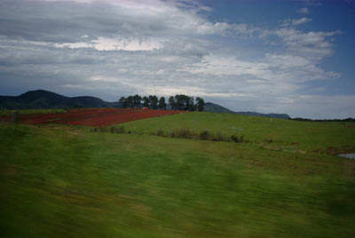 Red earth of Dorrigo