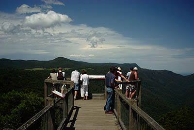 Rainforest skywalk