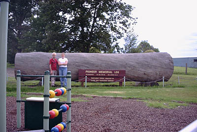 Pioneer Memorial Log