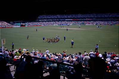 Kangaroo Cricketers