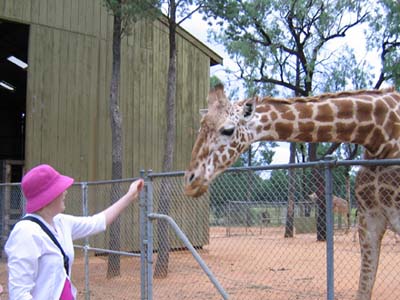 Me and a Giraffe