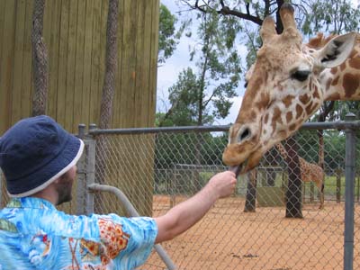 Snookums and a Giraffe