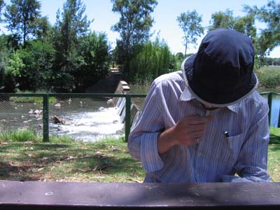 Midday in Mudgee