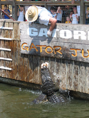 Gator Jumparoo